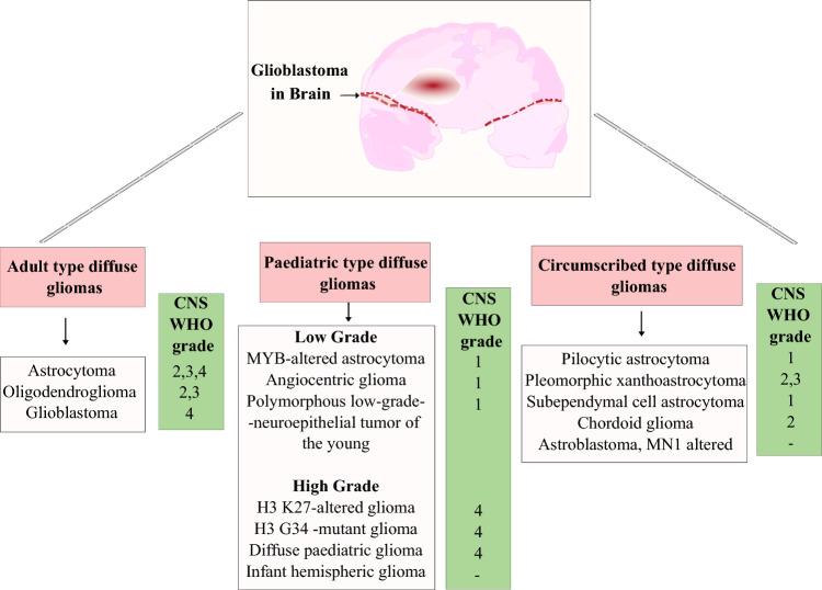 https://cdn.ncbi.nlm.nih.gov/pmc/blobs/80f1/12182518/e2d6c1d188d0/12032_2025_2830_Fig2_HTML.jpg