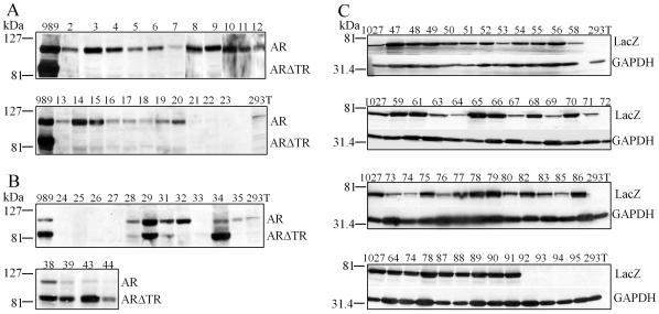 https://cdn.ncbi.nlm.nih.gov/pmc/blobs/80f1/3260230/79f9aedbd3da/pone.0030192.g010.jpg