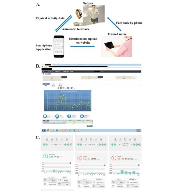 https://cdn.ncbi.nlm.nih.gov/pmc/blobs/80f4/6604502/9225d513c8a7/mhealth_v7i6e13381_fig1.jpg