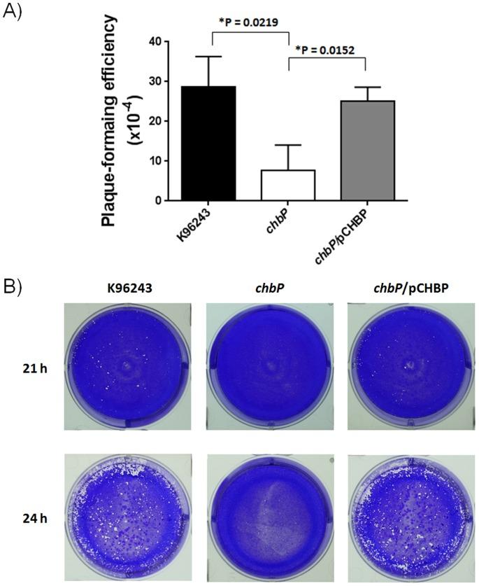 https://cdn.ncbi.nlm.nih.gov/pmc/blobs/80f5/4014488/b908cea62906/pone.0096298.g005.jpg