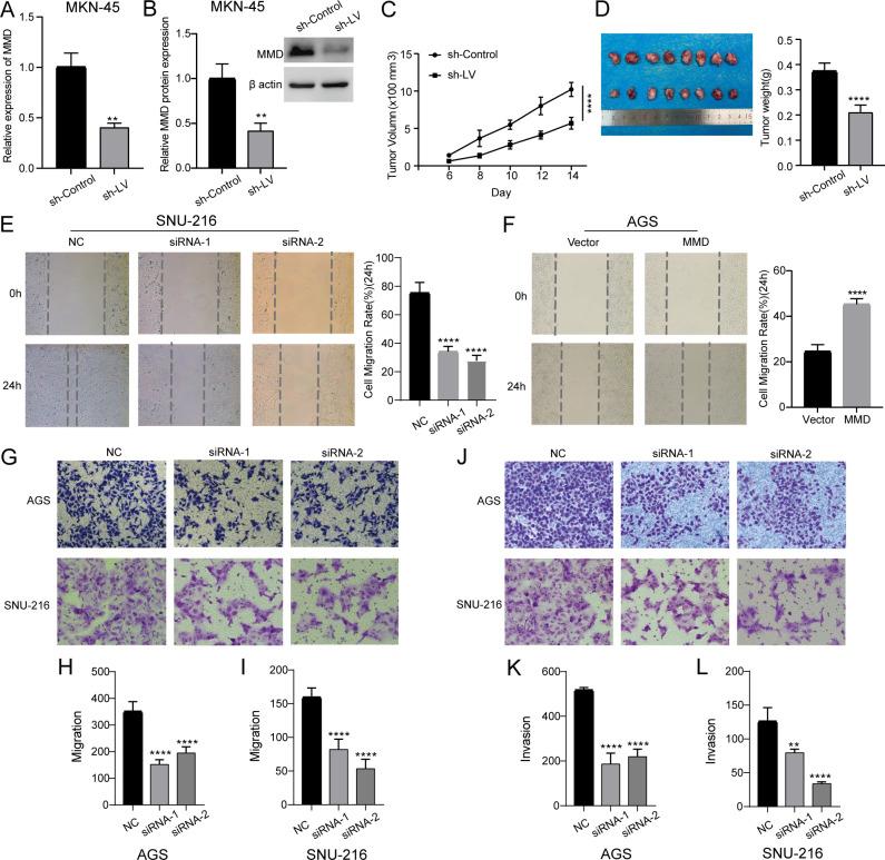 https://cdn.ncbi.nlm.nih.gov/pmc/blobs/80f6/12040639/7d67c5040150/fonc-15-1508355-g008.jpg