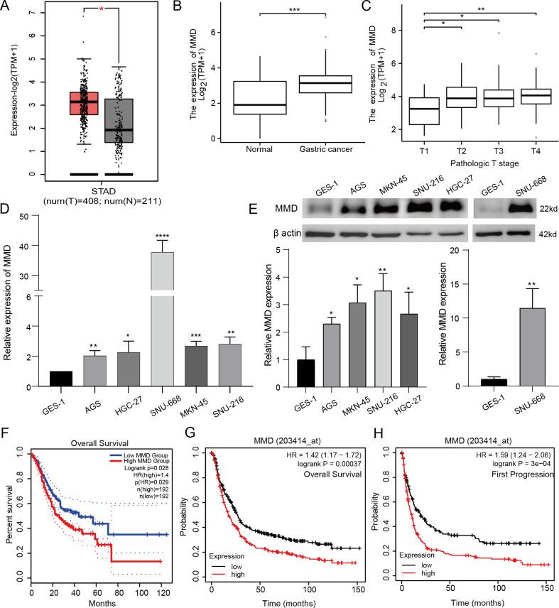 https://cdn.ncbi.nlm.nih.gov/pmc/blobs/80f6/12040639/f6b94706d7fb/fonc-15-1508355-g001.jpg
