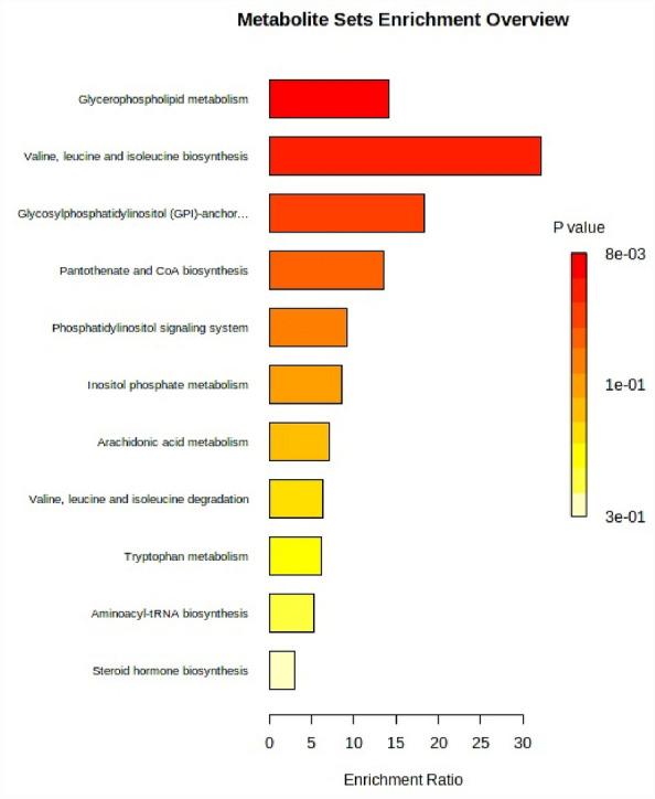 https://cdn.ncbi.nlm.nih.gov/pmc/blobs/80f8/10874427/3c3f2749c986/41598_2024_54279_Fig6_HTML.jpg