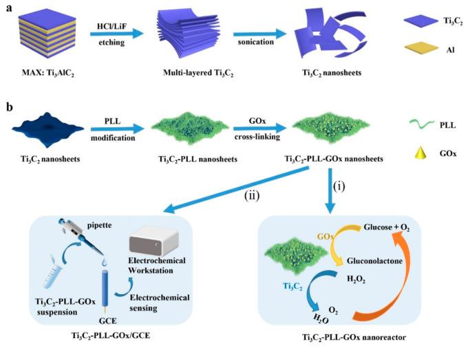 https://cdn.ncbi.nlm.nih.gov/pmc/blobs/80f8/11506004/04f2746f763d/biosensors-14-00497-g008.jpg