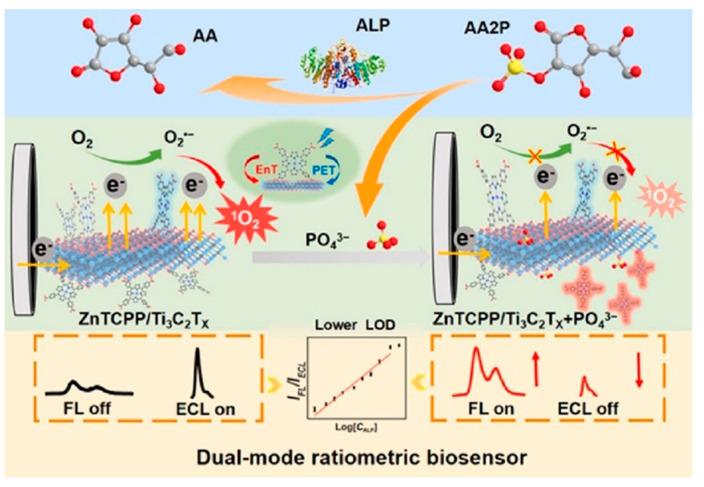https://cdn.ncbi.nlm.nih.gov/pmc/blobs/80f8/11506004/17536d7909af/biosensors-14-00497-g009.jpg