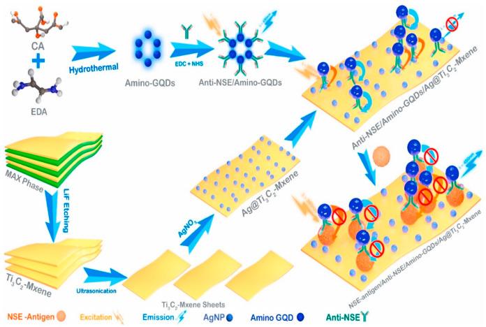 https://cdn.ncbi.nlm.nih.gov/pmc/blobs/80f8/11506004/4a1525227964/biosensors-14-00497-g014.jpg