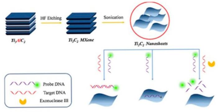 https://cdn.ncbi.nlm.nih.gov/pmc/blobs/80f8/11506004/4abc11c8df6a/biosensors-14-00497-g013.jpg