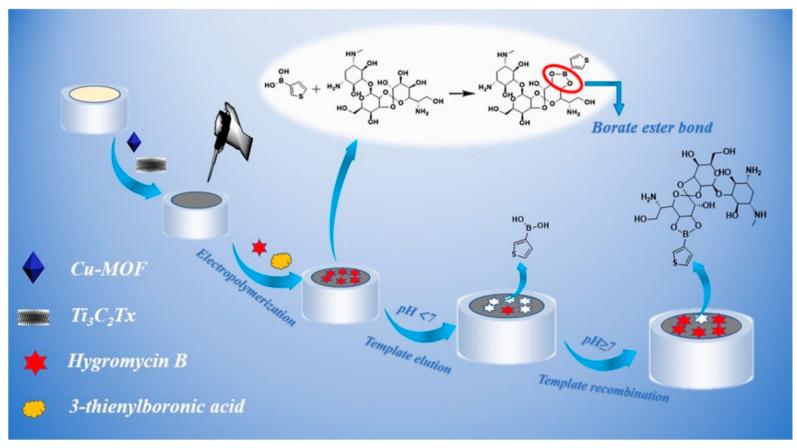 https://cdn.ncbi.nlm.nih.gov/pmc/blobs/80f8/11506004/4fc9597c0cfa/biosensors-14-00497-g018.jpg