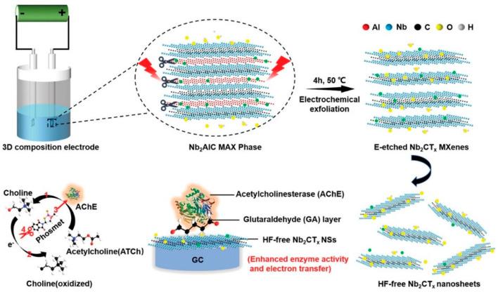 https://cdn.ncbi.nlm.nih.gov/pmc/blobs/80f8/11506004/5c4753a9b22c/biosensors-14-00497-g007.jpg