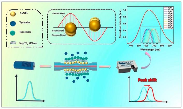 https://cdn.ncbi.nlm.nih.gov/pmc/blobs/80f8/11506004/b95bc7c7b198/biosensors-14-00497-g010.jpg