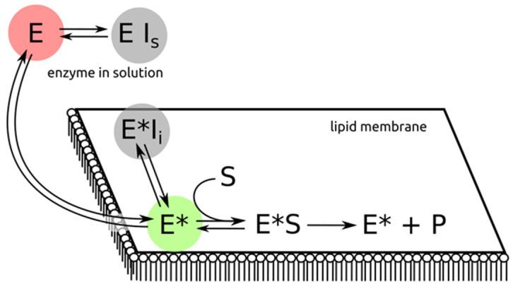 https://cdn.ncbi.nlm.nih.gov/pmc/blobs/80fa/10384401/a197004460fb/membranes-13-00618-g002.jpg