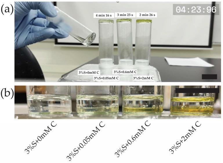https://cdn.ncbi.nlm.nih.gov/pmc/blobs/80fa/12027036/5a2d242543c8/gels-11-00288-g003.jpg