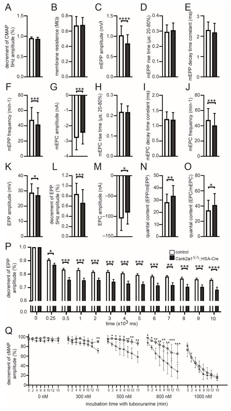 https://cdn.ncbi.nlm.nih.gov/pmc/blobs/80fb/9776919/77a894a7dbe0/cells-11-03962-g005.jpg