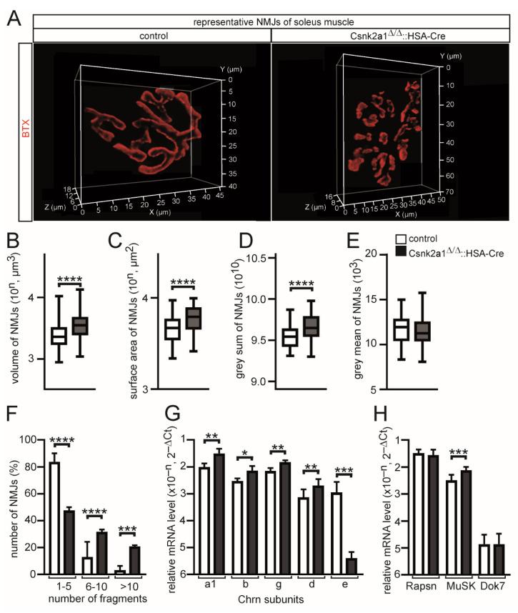 https://cdn.ncbi.nlm.nih.gov/pmc/blobs/80fb/9776919/db4981344401/cells-11-03962-g004.jpg