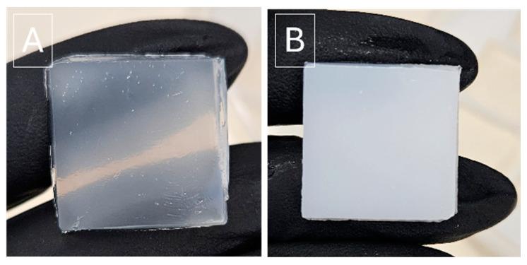 https://cdn.ncbi.nlm.nih.gov/pmc/blobs/80fe/11765405/002314a0da60/gels-11-00031-g002.jpg