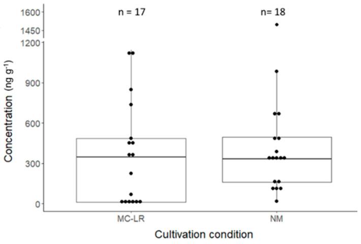 https://cdn.ncbi.nlm.nih.gov/pmc/blobs/80fe/12197505/e7cf2f0e07c9/toxins-17-00285-g003.jpg