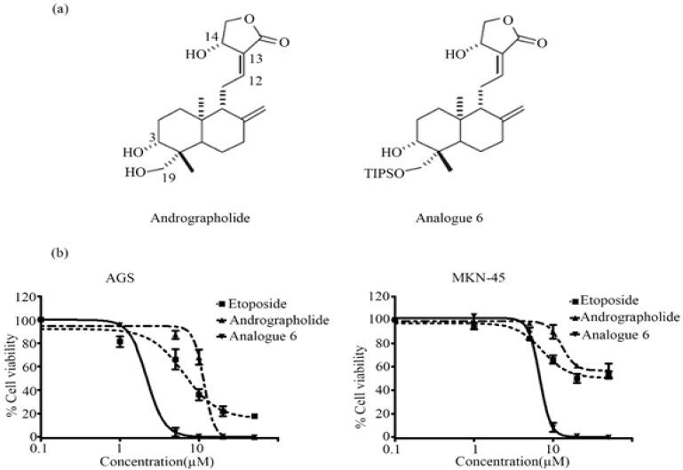 https://cdn.ncbi.nlm.nih.gov/pmc/blobs/80fe/5747413/d568bc475e3b/APJCP-18-2845-g001.jpg
