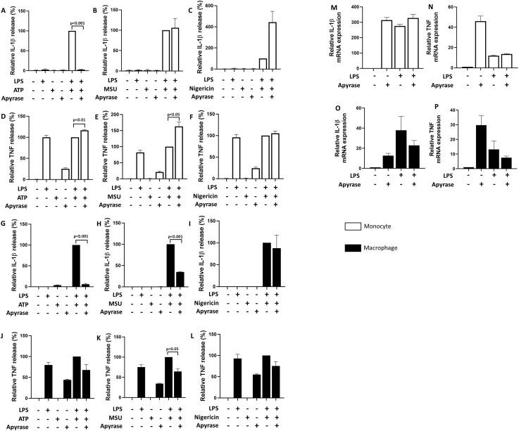 https://cdn.ncbi.nlm.nih.gov/pmc/blobs/80ff/11746122/c7e832b0160f/fimmu-15-1497984-g004.jpg