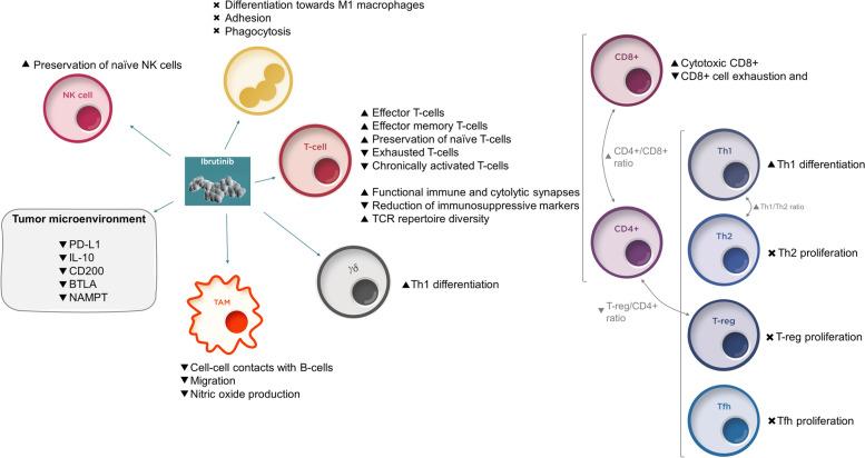 https://cdn.ncbi.nlm.nih.gov/pmc/blobs/80ff/8518263/622b10871786/13046_2021_2115_Fig4_HTML.jpg