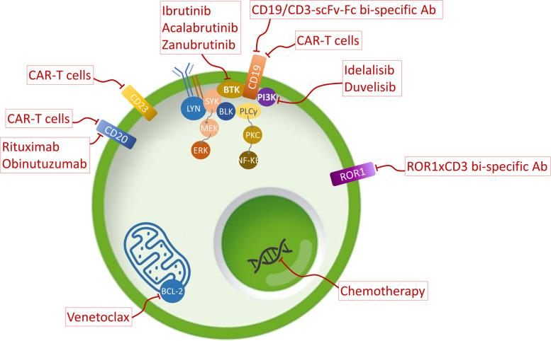 https://cdn.ncbi.nlm.nih.gov/pmc/blobs/80ff/8518263/7777e31fc6c5/13046_2021_2115_Fig1_HTML.jpg
