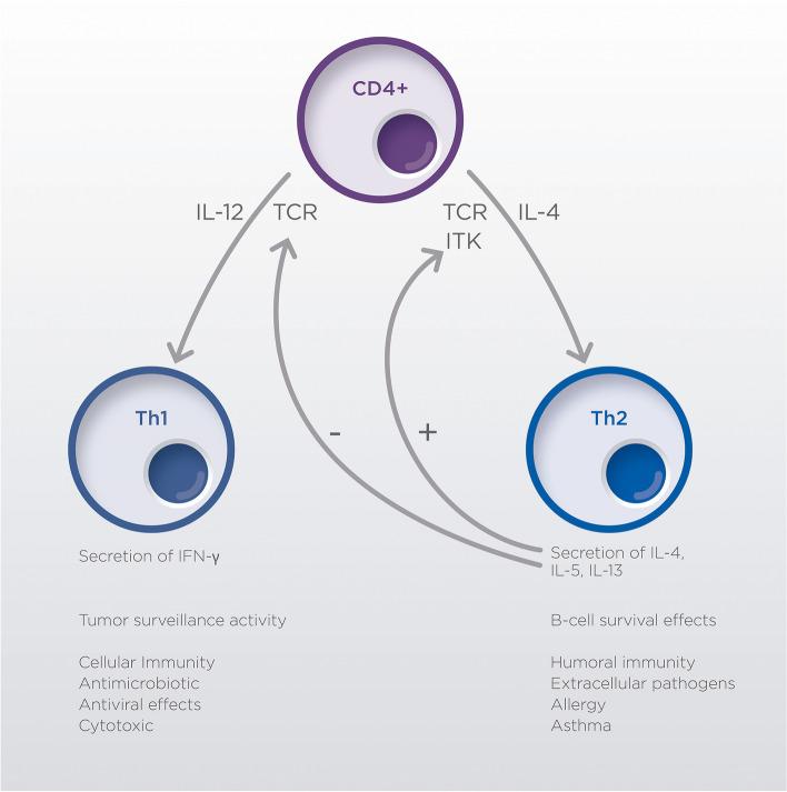 https://cdn.ncbi.nlm.nih.gov/pmc/blobs/80ff/8518263/964c9d1ab4f8/13046_2021_2115_Fig3_HTML.jpg