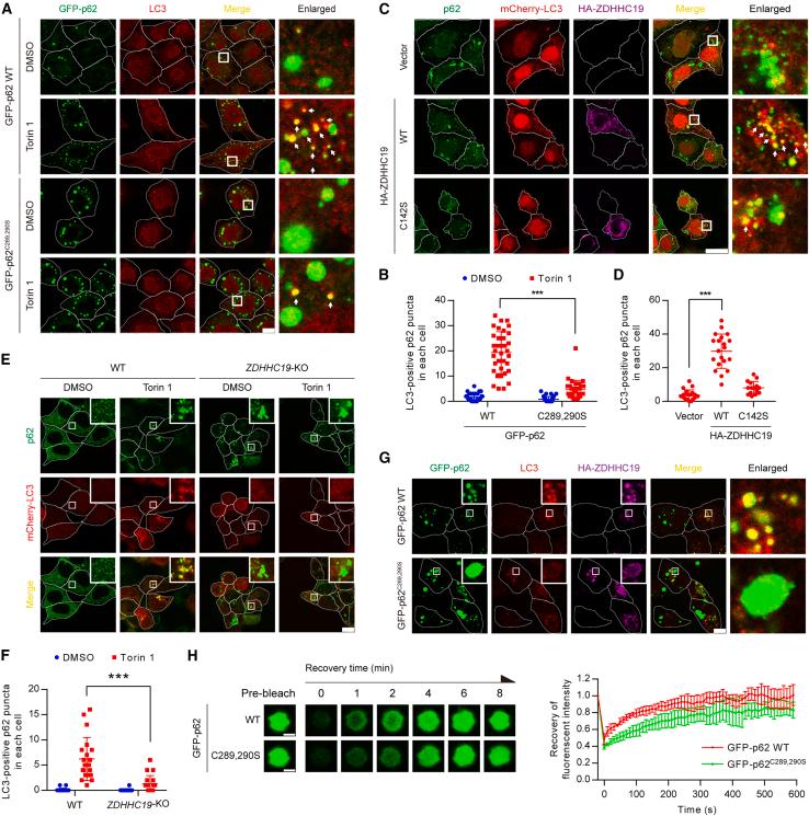 https://cdn.ncbi.nlm.nih.gov/pmc/blobs/8101/10552648/5035815095eb/gr5.jpg