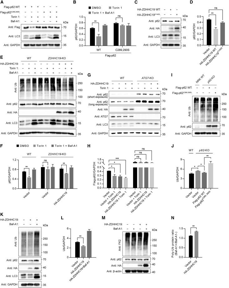 https://cdn.ncbi.nlm.nih.gov/pmc/blobs/8101/10552648/7063dc991268/gr3.jpg
