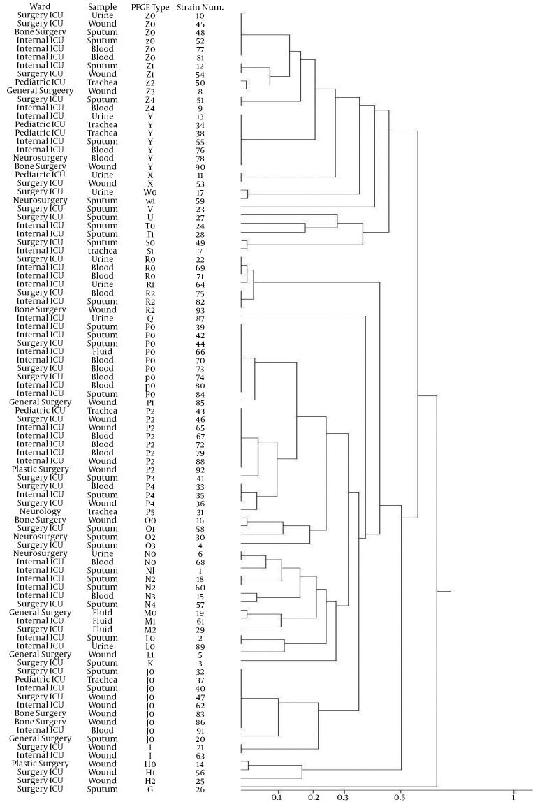 https://cdn.ncbi.nlm.nih.gov/pmc/blobs/8101/4548468/39b735b96fa0/jjm-08-06-19180-i001.jpg
