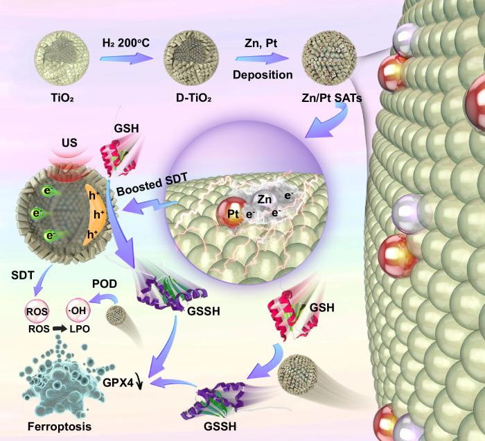 https://cdn.ncbi.nlm.nih.gov/pmc/blobs/8102/11522694/e2c042ee51c4/41467_2024_53488_Fig1_HTML.jpg