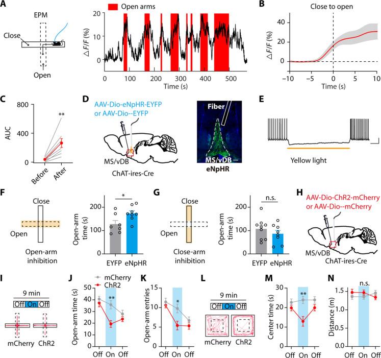 https://cdn.ncbi.nlm.nih.gov/pmc/blobs/8103/11546849/46304372a563/sciadv.ado1508-f3.jpg