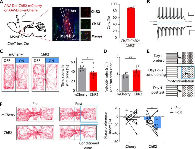 https://cdn.ncbi.nlm.nih.gov/pmc/blobs/8103/11546849/9911beb43a86/sciadv.ado1508-f2.jpg