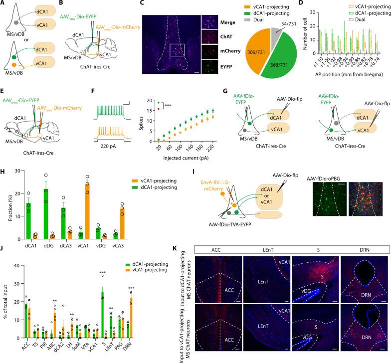 https://cdn.ncbi.nlm.nih.gov/pmc/blobs/8103/11546849/f666cfa538bb/sciadv.ado1508-f4.jpg