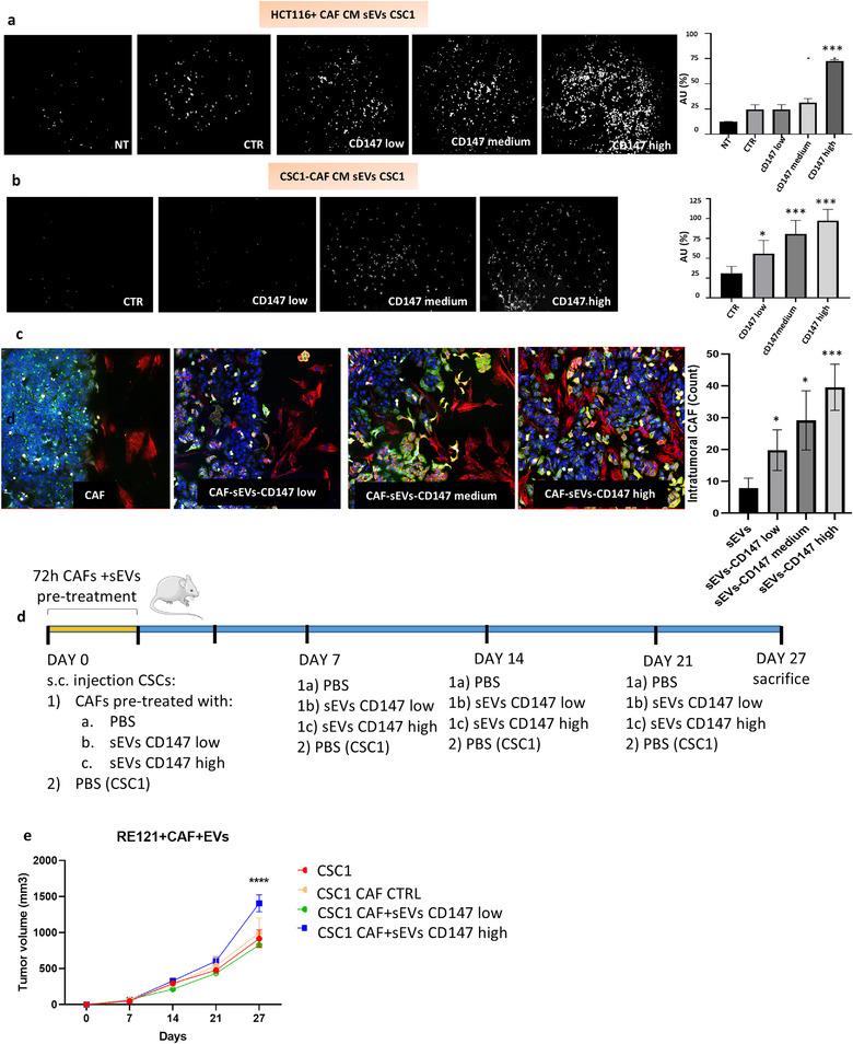 https://cdn.ncbi.nlm.nih.gov/pmc/blobs/8105/11913892/dec0fe111298/JEX2-4-e70039-g001.jpg