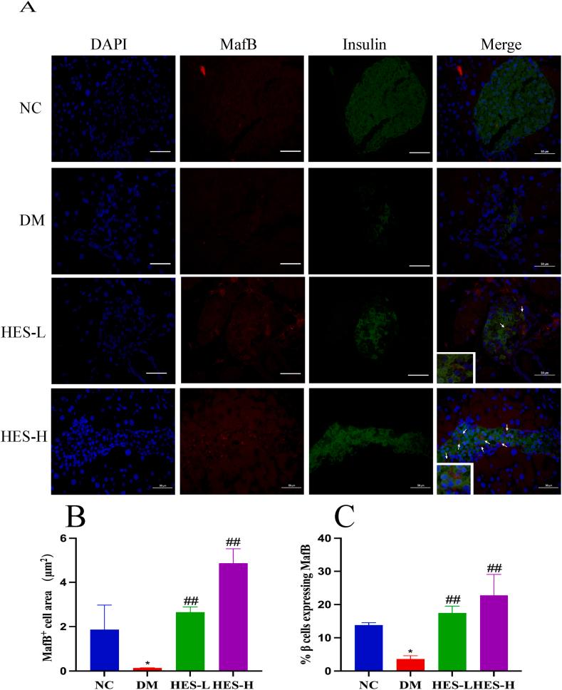https://cdn.ncbi.nlm.nih.gov/pmc/blobs/8106/11365324/0c70791154c8/gr8.jpg