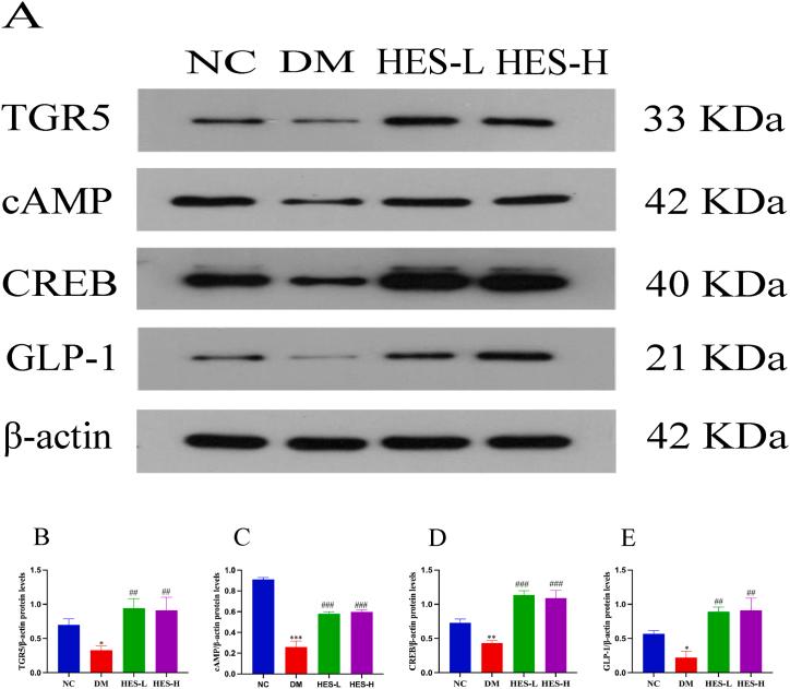https://cdn.ncbi.nlm.nih.gov/pmc/blobs/8106/11365324/288248045630/gr10.jpg
