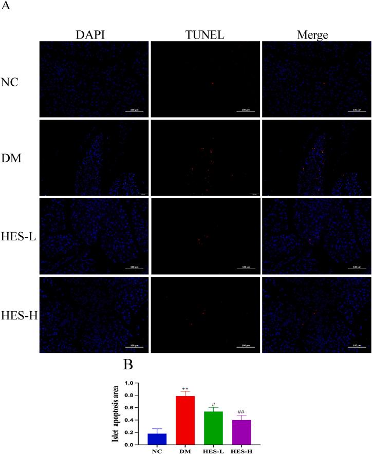 https://cdn.ncbi.nlm.nih.gov/pmc/blobs/8106/11365324/80f0aec3895e/gr5.jpg