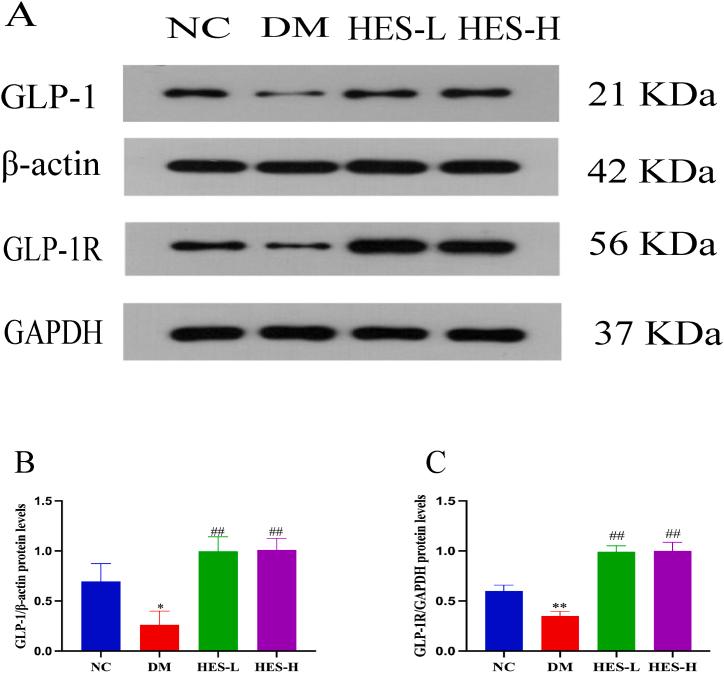https://cdn.ncbi.nlm.nih.gov/pmc/blobs/8106/11365324/8f0a7cc16181/gr11.jpg