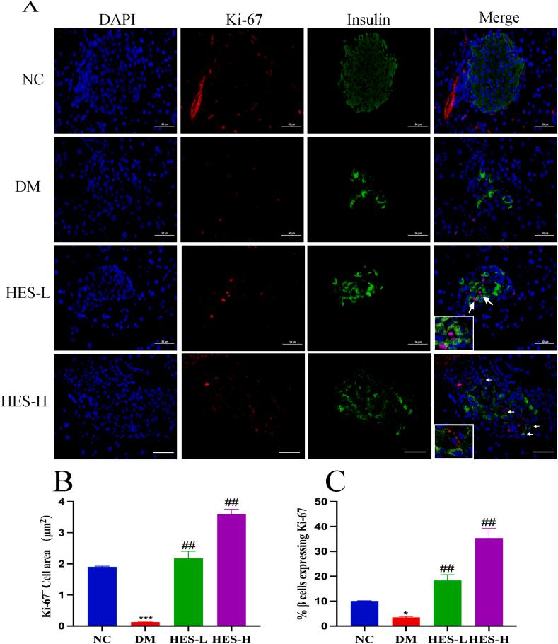 https://cdn.ncbi.nlm.nih.gov/pmc/blobs/8106/11365324/d0649c7f1205/gr6.jpg