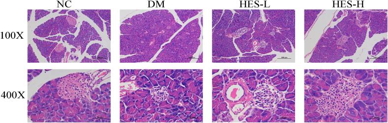 https://cdn.ncbi.nlm.nih.gov/pmc/blobs/8106/11365324/d1911378fcd8/gr3.jpg