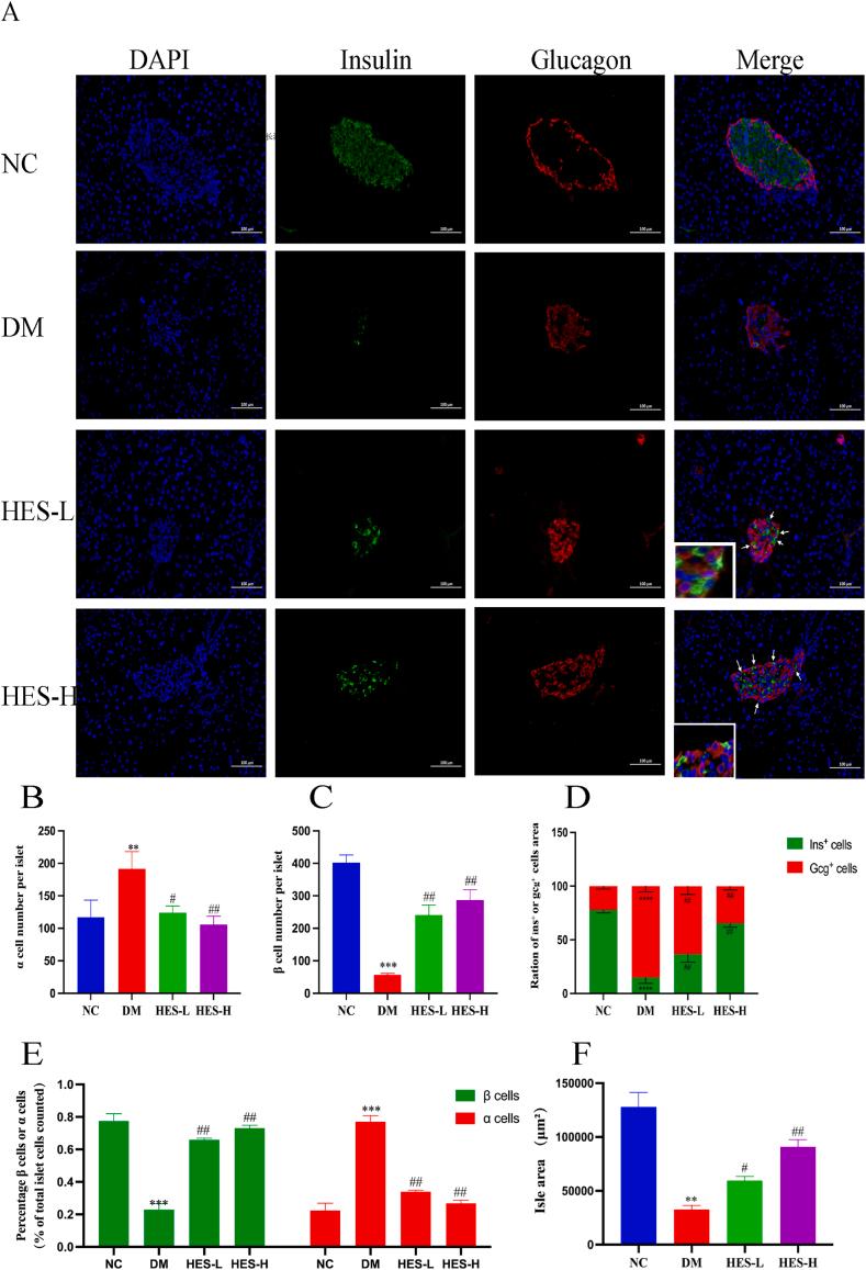 https://cdn.ncbi.nlm.nih.gov/pmc/blobs/8106/11365324/fb11801baa3d/gr4.jpg