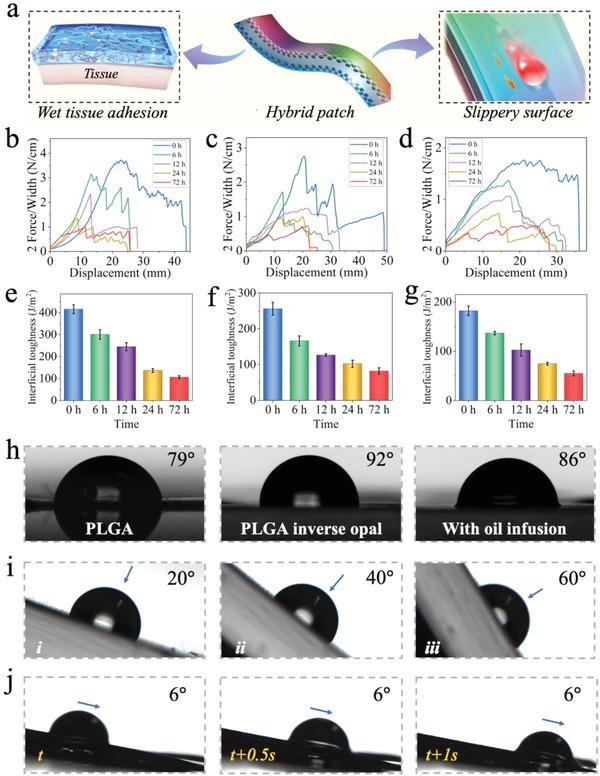 https://cdn.ncbi.nlm.nih.gov/pmc/blobs/8108/9631070/452d0b4f417b/ADVS-9-2203096-g006.jpg