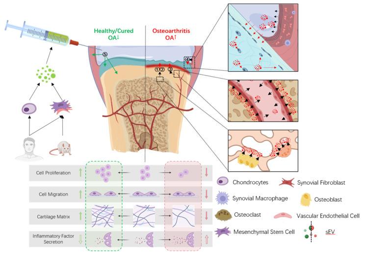 https://cdn.ncbi.nlm.nih.gov/pmc/blobs/810b/10669328/09f831c103f4/biomolecules-13-01606-g001.jpg