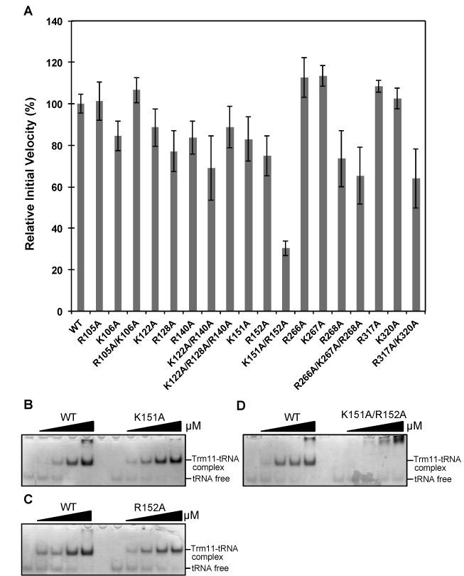 https://cdn.ncbi.nlm.nih.gov/pmc/blobs/810d/5291279/8049a6aa341e/gkw561fig5.jpg
