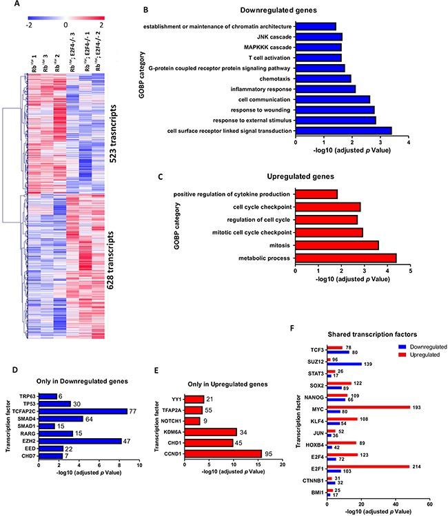 https://cdn.ncbi.nlm.nih.gov/pmc/blobs/810d/5342772/498984c1621d/oncotarget-07-75712-g007.jpg
