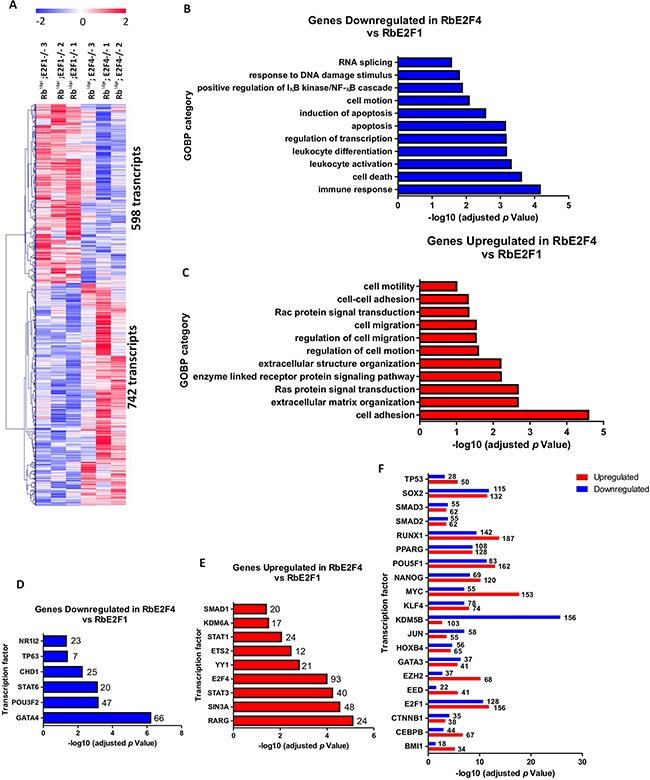 https://cdn.ncbi.nlm.nih.gov/pmc/blobs/810d/5342772/b830e8ac1231/oncotarget-07-75712-g009.jpg