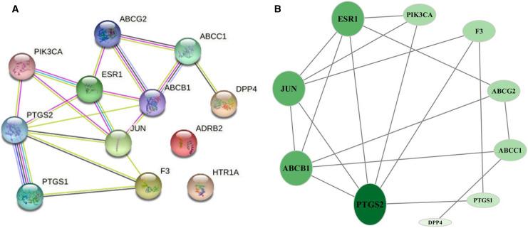 https://cdn.ncbi.nlm.nih.gov/pmc/blobs/810d/9512003/0ddf55c5b1f0/peerj-10-13852-g003.jpg