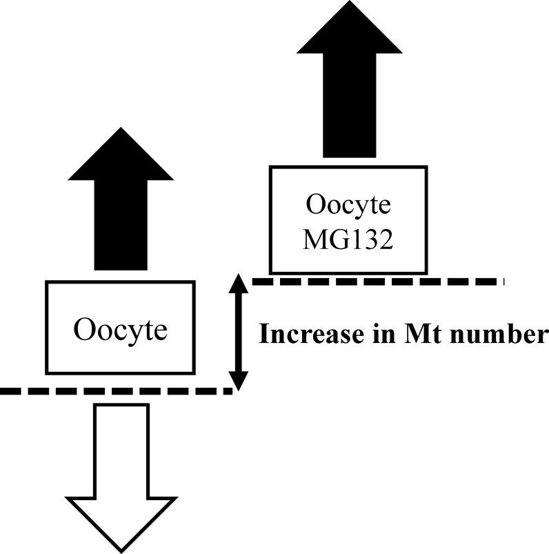 https://cdn.ncbi.nlm.nih.gov/pmc/blobs/810f/5705080/c3d87996b496/pone.0188099.g001.jpg