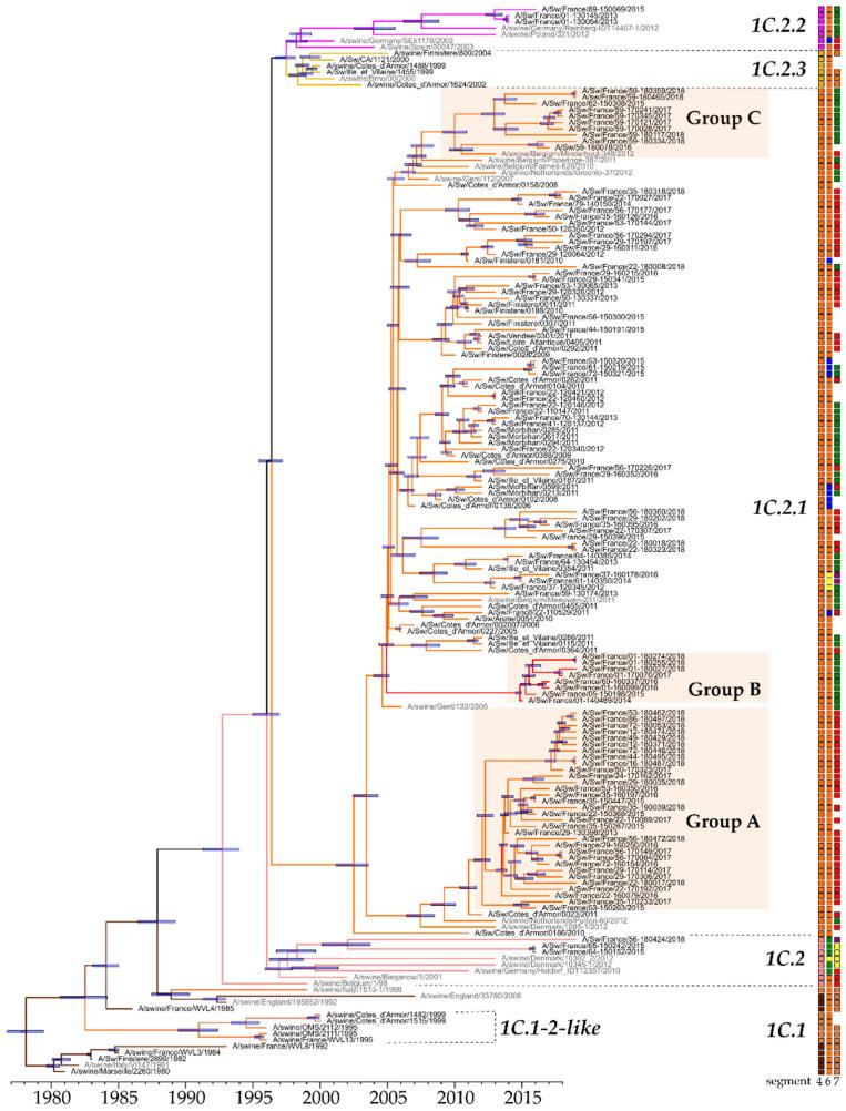 https://cdn.ncbi.nlm.nih.gov/pmc/blobs/8113/7697621/7a877f90d35d/viruses-12-01304-g002.jpg