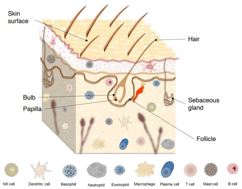 https://cdn.ncbi.nlm.nih.gov/pmc/blobs/8114/10301930/eaf9a673f801/microorganisms-11-01420-g001.jpg