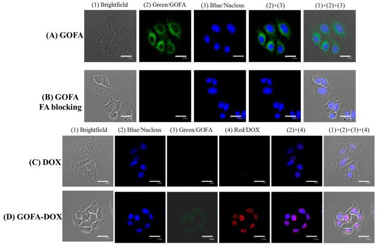 https://cdn.ncbi.nlm.nih.gov/pmc/blobs/8114/5707605/16a1f5436d84/nanomaterials-07-00388-g005.jpg